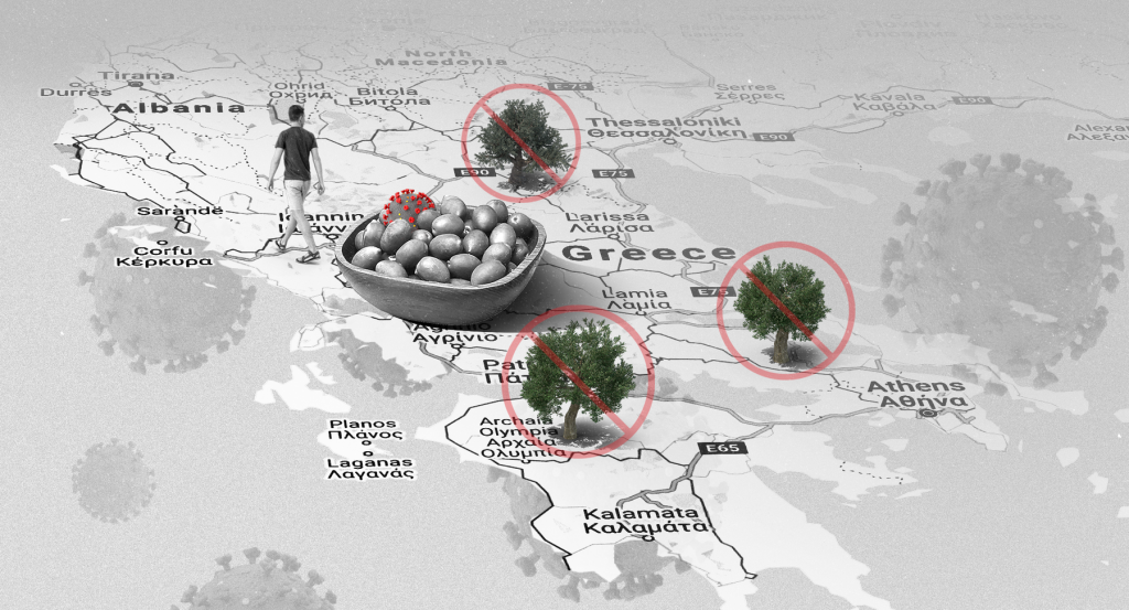 Pandemic May Prove Turning Point for Greece’s Albanian Fruit-Pickers